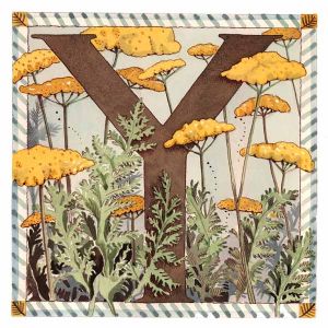 Y is for Yarrow
