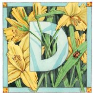 D is for Day Lily