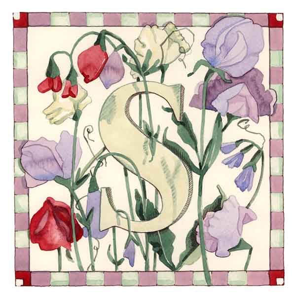 S is for Sweetpea