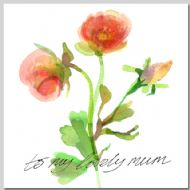 Ranunculus and Rosebud - Lovely Mum