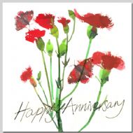 Carnations - Happy Anniversary
